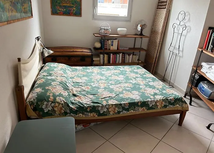 Appartement Plein Centre